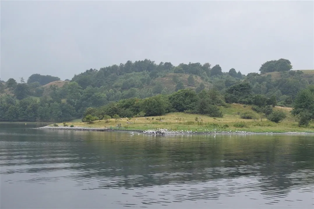 G21.3 mariager fjord ferry to hegedal   bramslev bakker fri 21 jul (8)